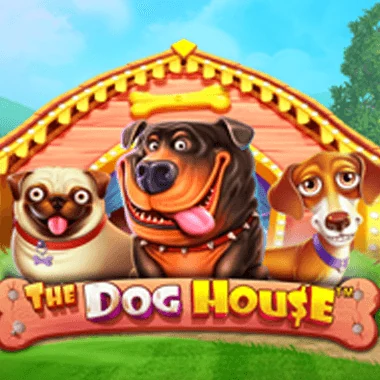 The Dog House slot by Pragmatic Play at SpinnyCasino